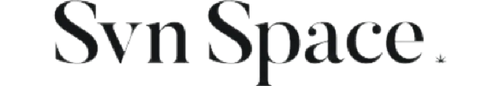 Seven Space Logo
